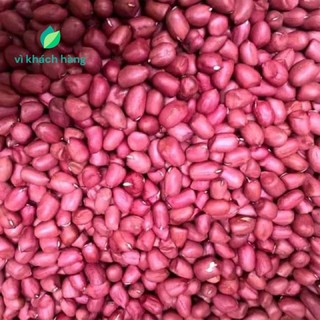 Lạc đỏ loại 1 hàng ngon hạt to lạc nghệ an- tây bắc - shop vì khách hàng