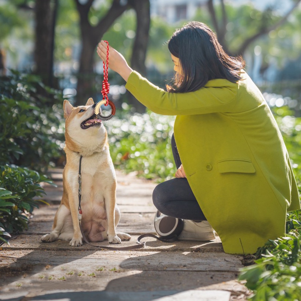 Chấm Bi Trang Trí| Đồ Chơi Mềm Mại Chống Mài Mòn Giúp Giảm Căng Thẳng Cho Thú Cưng