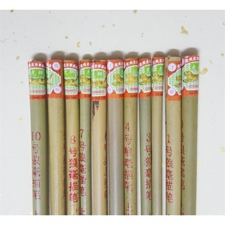 (HỌA CỤ HAPPY ART) CỌ CON CỌP 