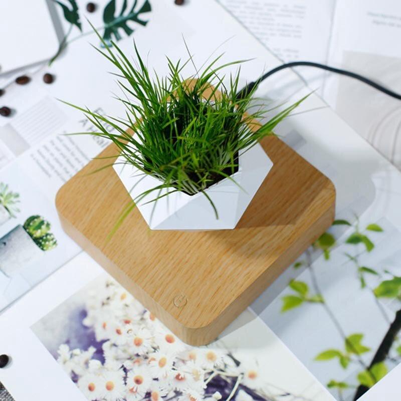 - Chậu cây bay trang trí từ tính BonSai Bay Zero W Design