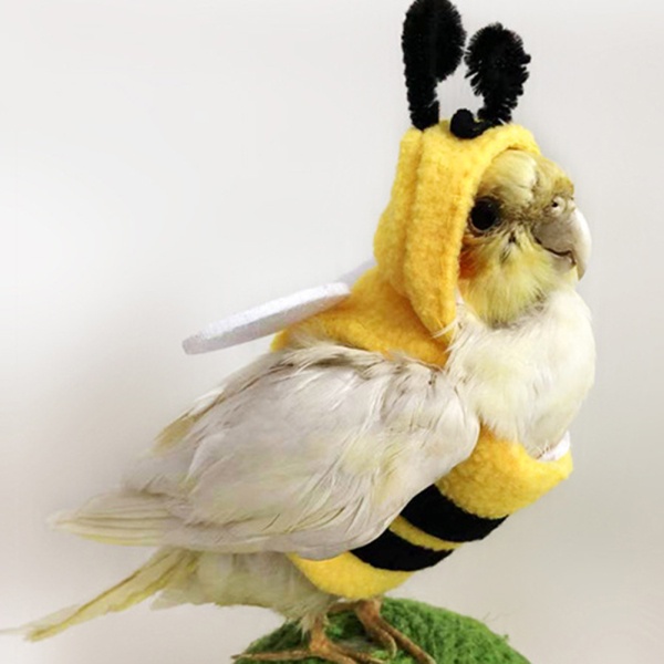 Oasis Áo Hoodie Hóa Trang Hình Chú Ong / Mặt Trời / Chim Cho Vẹt / Gà Mái Hiên Châu Phi Xám Parakeetcockatiel sun conure