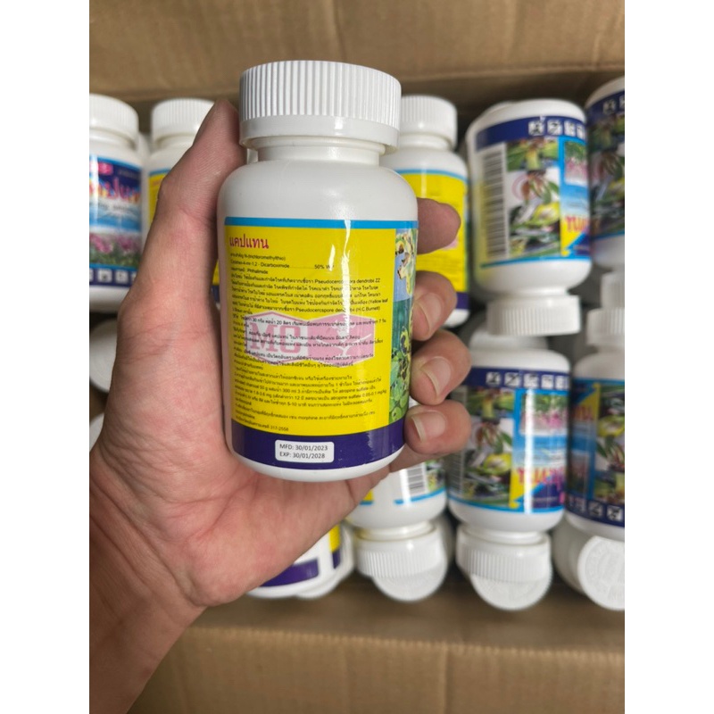 Thuốc trừ bệnh thối nhũn, nấm bệnh trên phong Lan Captan Thai Lan