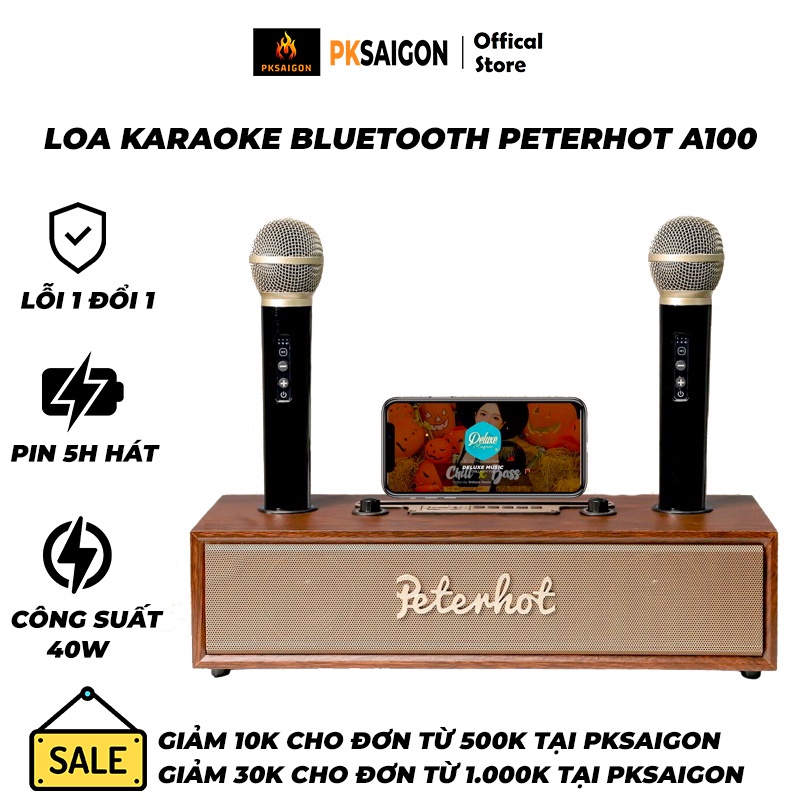 Loa Karaoke Bluetooth PETERHOT A100 cao cấp kèm 2 micro, công suất 20W bass trầm, thiết kế vỏ gỗ sang trọng PKSAIGON