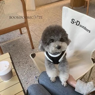 Dễ Thương Áo Sát Nách Mỏng Thoáng Khí In Hình Gấu / Bạch Tuộc Thời Trang Xuân Hè Cho Cún Cưng w1sf