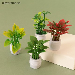 1 Mô Hình Chậu Cây mini Màu Xanh Lá Cây Dùng Trang Trí Tiểu Cảnh