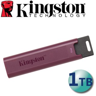 Ổ đĩa u kingston 2t 1t type-a usb 3.2 gen 2 dtmaxa / 1tb 4t 512gb