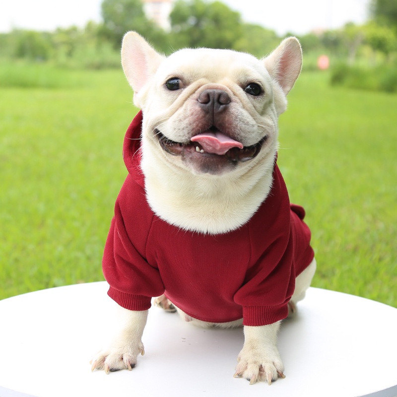 ⭐ Nóng quá! ⭐ Thời trang ấm Hoodie Pet Dress