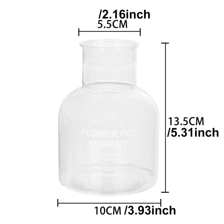 Chậu Trồng Cây Bằng Thủy Tinh Trong Suốt mini Không Cát Trang Trí Nhà Cửa