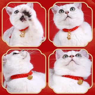Mới Vòng Cổ Bện Dây Đỏ May Mắn Cho Thú Cưng