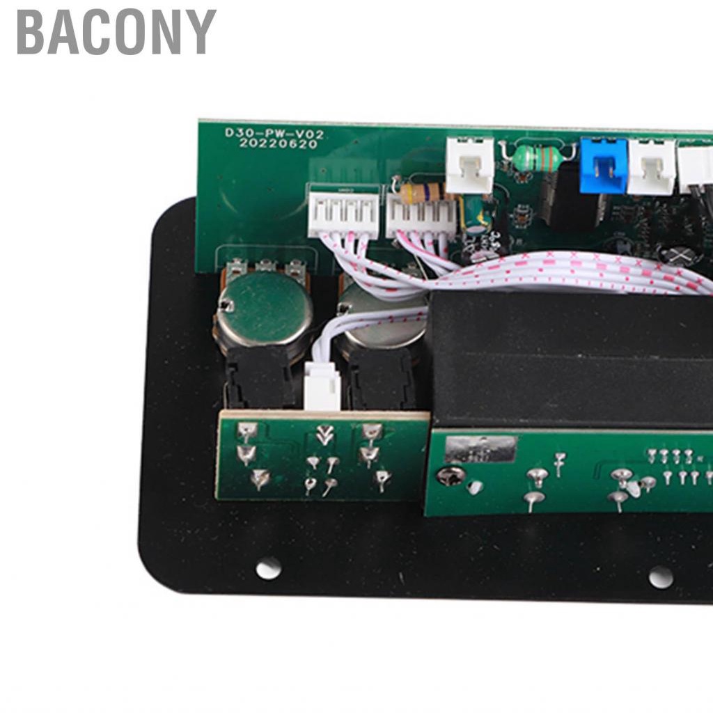 Bacony 10in  Stereo Subwoofer Amplifier Board Dual Microphone Input 220V for Home Theater DIY Speakers