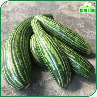 Hạt giống Dưa Gang trái dài, thơm, ngon, trồng quanh năm gói 1 gr