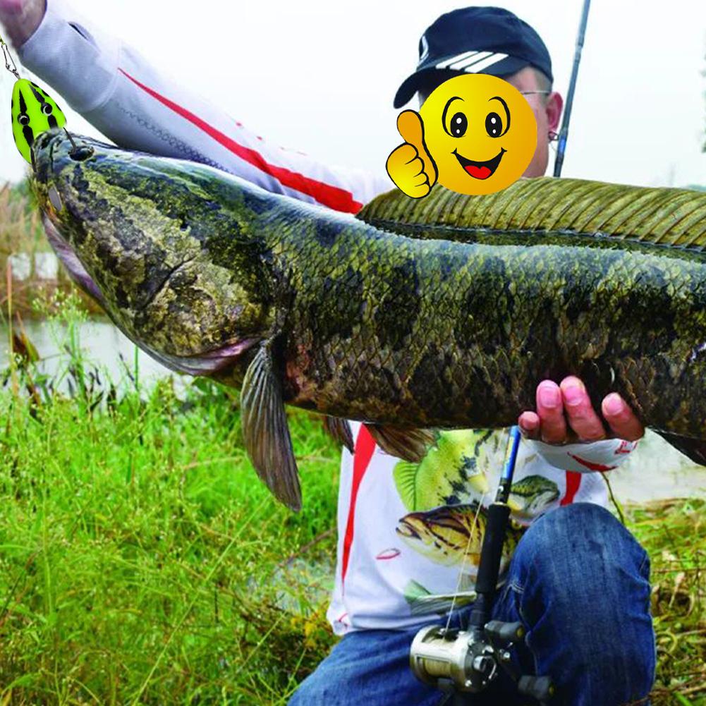 Mồi Câu Cá Giả Hình Ếch Đen p1s3