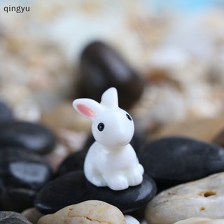 Set 2 Đồ trang trí Thỏ mini Trang Trí Sân Vườn