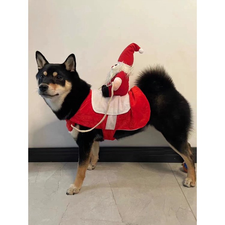 Trang PhụC GiáNg Sinh Cho Thú Cưng