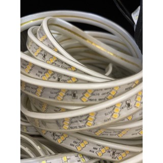 Dây Led 3 hàng led , 2 hàng led (giá tính theo m)