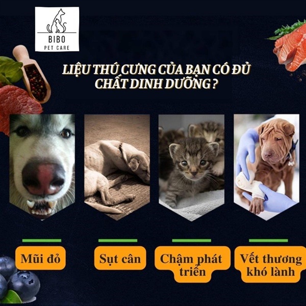 Vitamin cho chó mèo Borammy cung cấp canxi men tiêu hóa nguyên tố vi lượng thải độc gan thận dưỡng lông bóng mượt