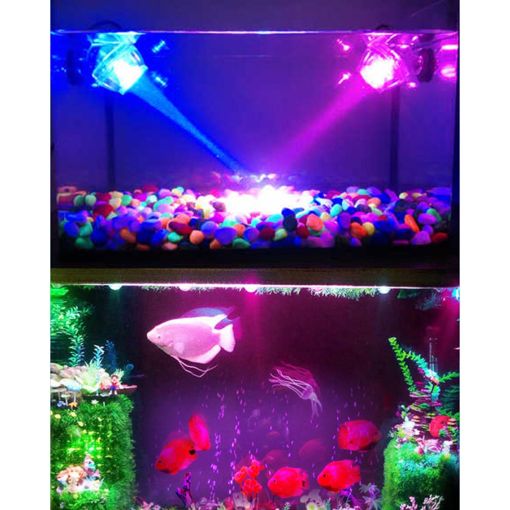Đèn led Trang Trí Bể Cá Có Điều Khiển Từ Xa