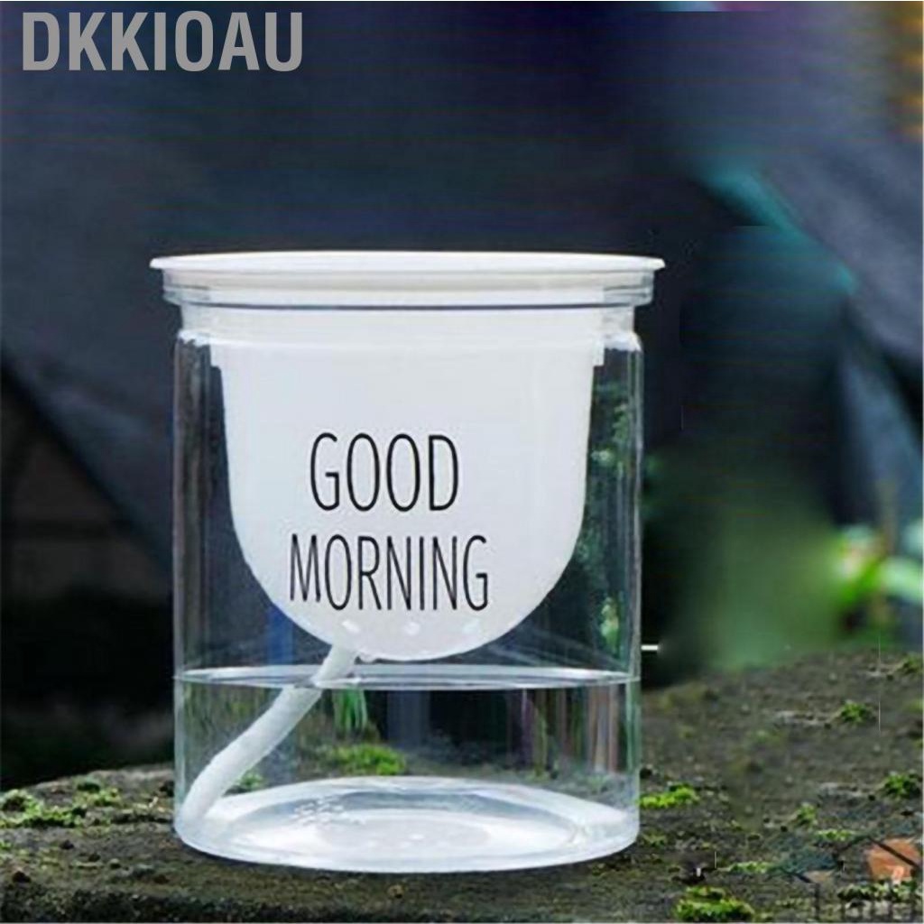 Dkkioau Flower Pot Indoor Self Absorbed Watering Planter Transparent Container for Office Home