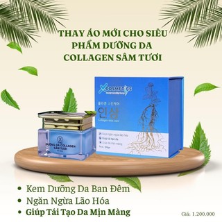 DƯỠNG DA COLLAGEN SÂM TƯƠI ( KEM ĐÊM KEM 11 )