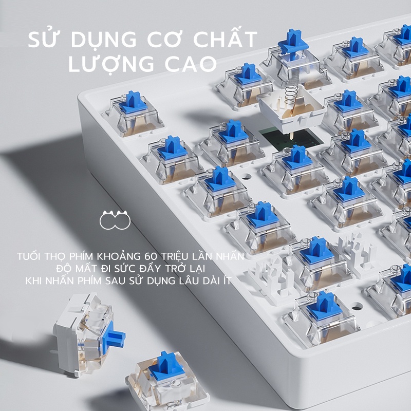Bàn Phím Cơ Gaming Không Dây Bluetooth BASIC KB14 Brown/Blue Switch 87 Phím Màu Tím/xanh/hồng Có đèn,3 Chế độ Kết Nối