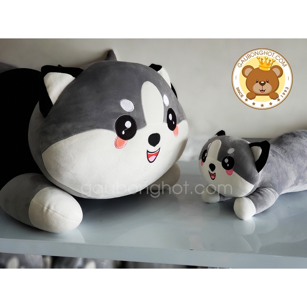 Mèo Bông, Mèo Bi, Mèo Husky Siêu đáng yêu MiNI Size 30cm ❤️Xưởng Gấu Hoa Bình❤️