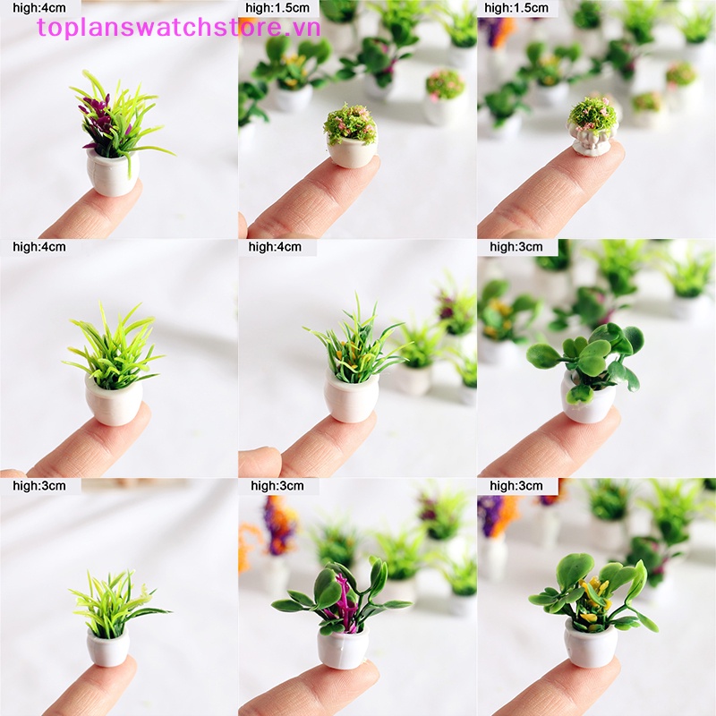 Toplanswatchstore Chậu Cây mini 12 Kiểu 1: 12 Thân Thiện Với Môi Trường Trang Trí Nhà Búp Bê