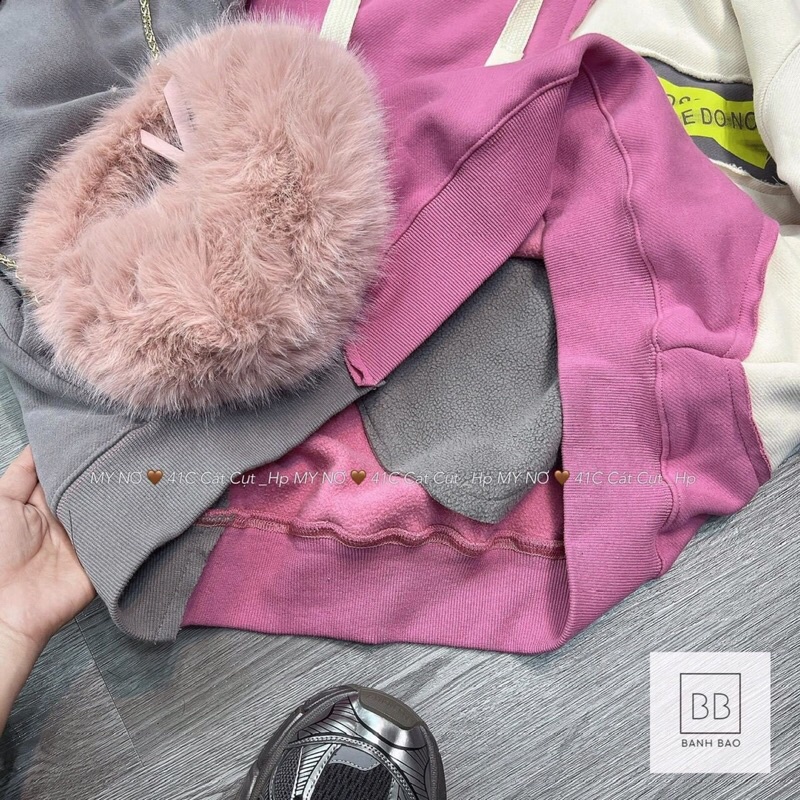 Áo nỉ hoodies mũ