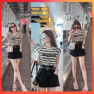  Áo len LƯỚI QC Montoghi cổ tròn KẺ SỌC IN CHỮ tay hến