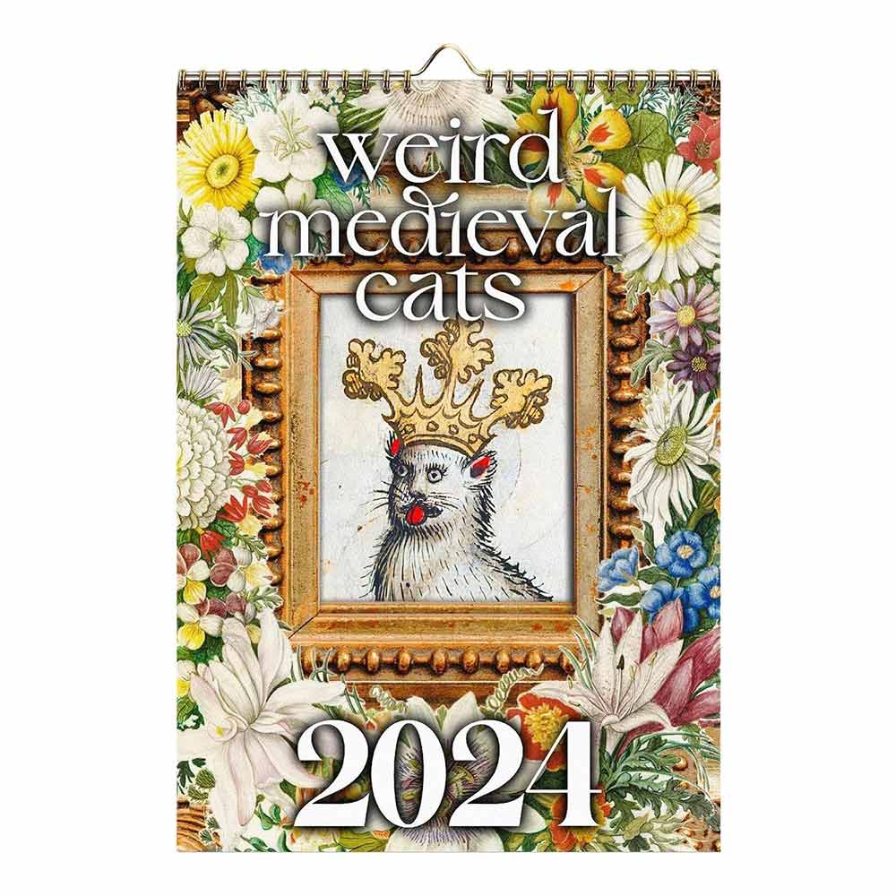Time Planning Weird Cats Calendar New Year's Gifts Funny Wall Calendar  Home