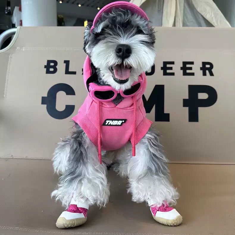 Tony the bear Áo Hoodie Không Tay Màu gradient Thời Trang Thu Đông Mới Cho Cún Cưng teddy Schnauzerbichon