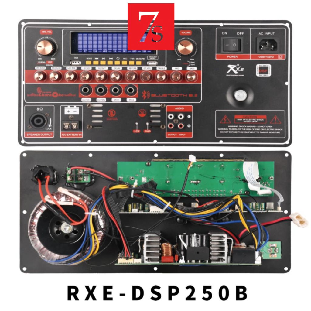 Mạch loa kéo công suất lớn RXE-DSP250B - 250W+DSP