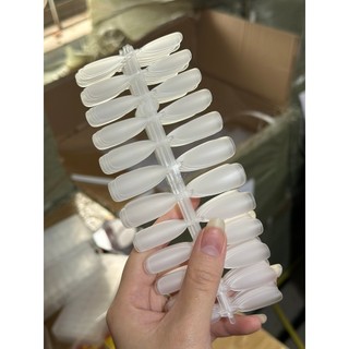Móng Úp hạt gạo + thang + nhọn + vuông móng úp nhám 240 móng