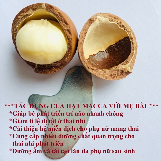 500g Hạt MACCA  SẤY LẠNH Size Lớn 23-27mm Có VSATTP