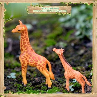 Tiểu Cảnh "Cặp Mẹ Con Hưu Cao Cổ Mini" Trang Trí Sen Đá, Sân Vườn/ Chậu Cây, DYI, Terrarium .