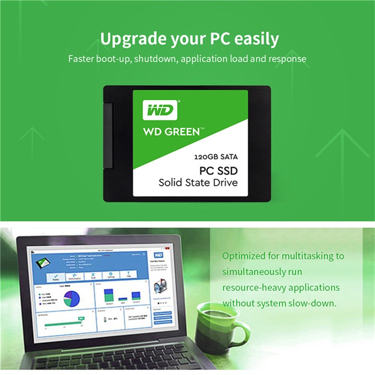 Ổ Đĩa Cứng SSD Màu Xanh Lá 512GB 1TB Sataii Cho Laptop PC