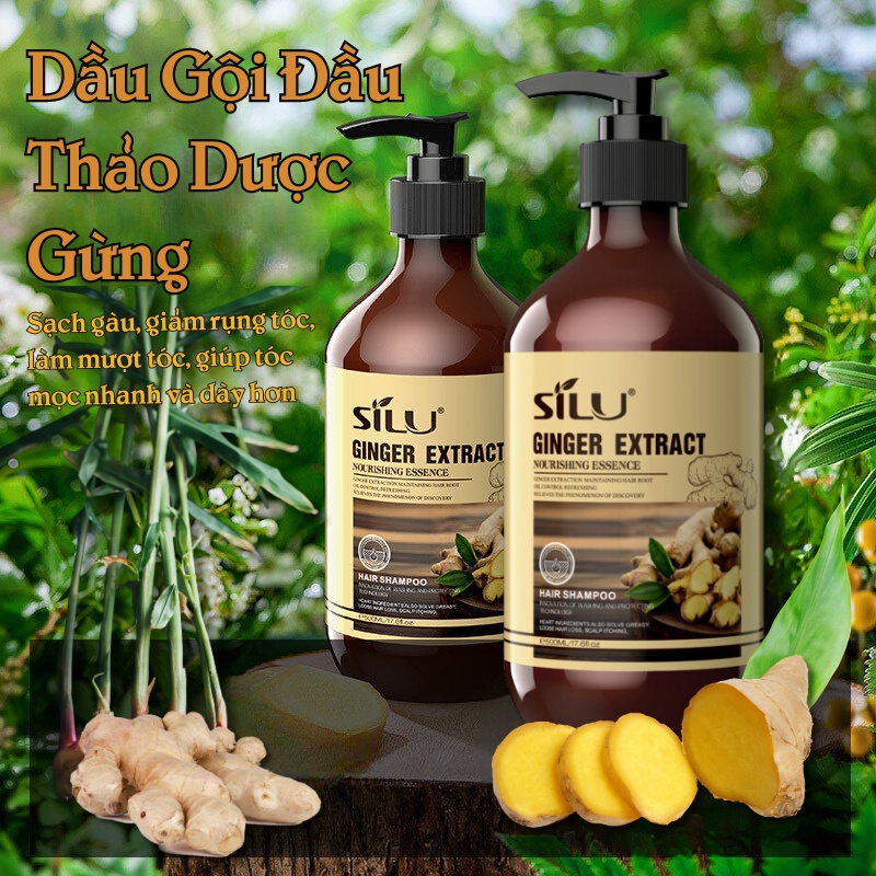 Cặp Dầu Gội Xả Đầu Thảo Mộc Gừng Tươi SILU Loại Bỏ Bết Tóc, Ngăn Ngừa Rụng Tóc, Kích Thích Mọc Tóc Bồng Bềnh, Làm Sạch S