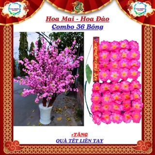 Hoa mai, hoa đào làm cây mai, cây đào chưng Tết cực đẹp, gồm 36 bông mai, 36 bông đào