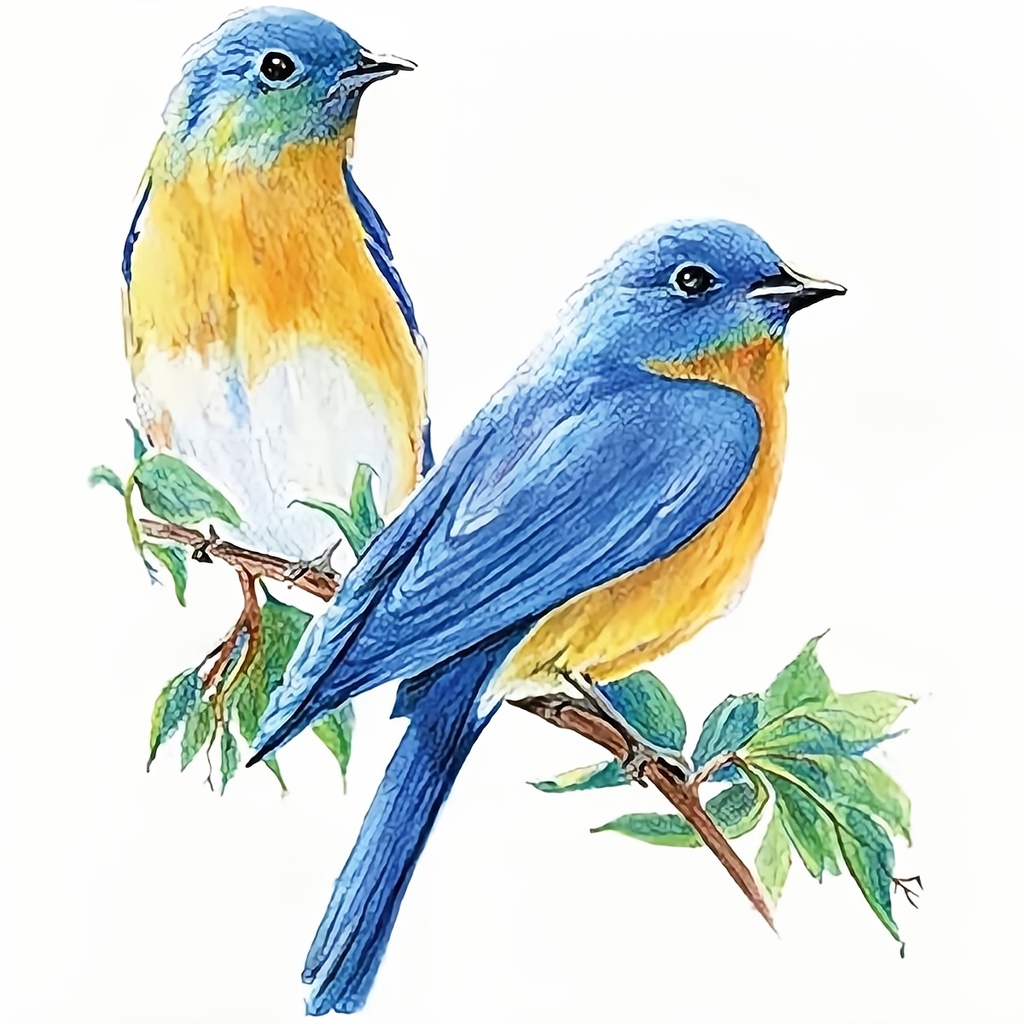 Bộ 12 / 36 / 48 / 72 Màu Vẽ Tranh Sơn Dầu Cho Bé