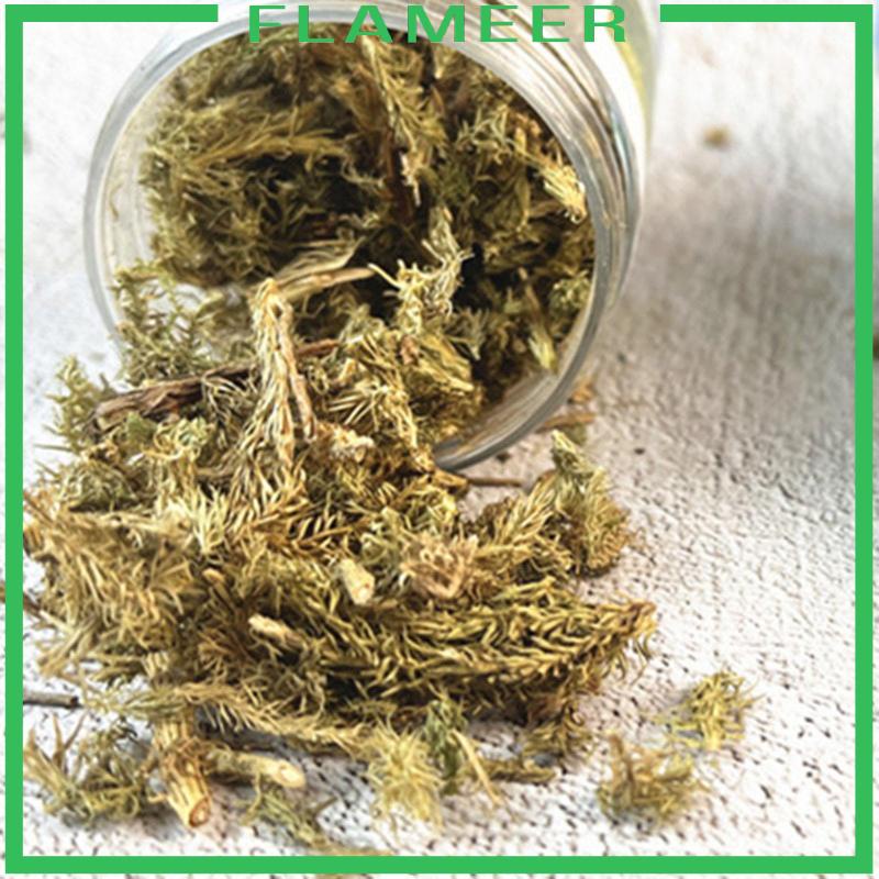 Cluster Cỏ Nhân Tạo Dùng Để Trang Trí Mô Hình Bãi Cỏ tuft Mini diy