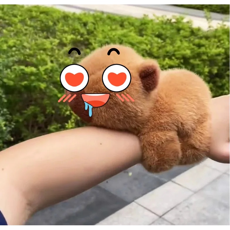 Xiaohongshu Vòng Tay Búp Bê capybara pop capybara Nhóm Nhạc kapibara Nhồi Bông capybara capybara Quà Tặng Sinh Nhật Bé Gái capybara jun capybara