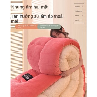 Chăn Bông Dày Dặn Giữ Ấm Mùa Đông Dành Cho Giường Đơn