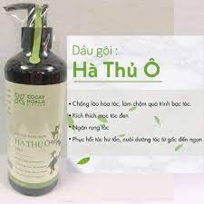 Dầu gội thảo dược hà thủ ô 2 in1 800ml