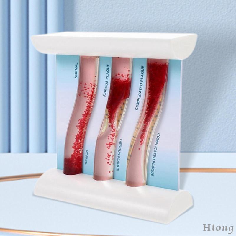 Vesel Mô Hình Bộ Xương Môi Tương Phản lipoprotein cardiovascular dynamic lipid Dùng Dạy Học