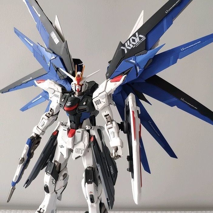 Mô Hình Lắp Ráp MG Gundam Freedom 6650 - Mô Hình Gumdam Lắp Ráp Tặng ô tô