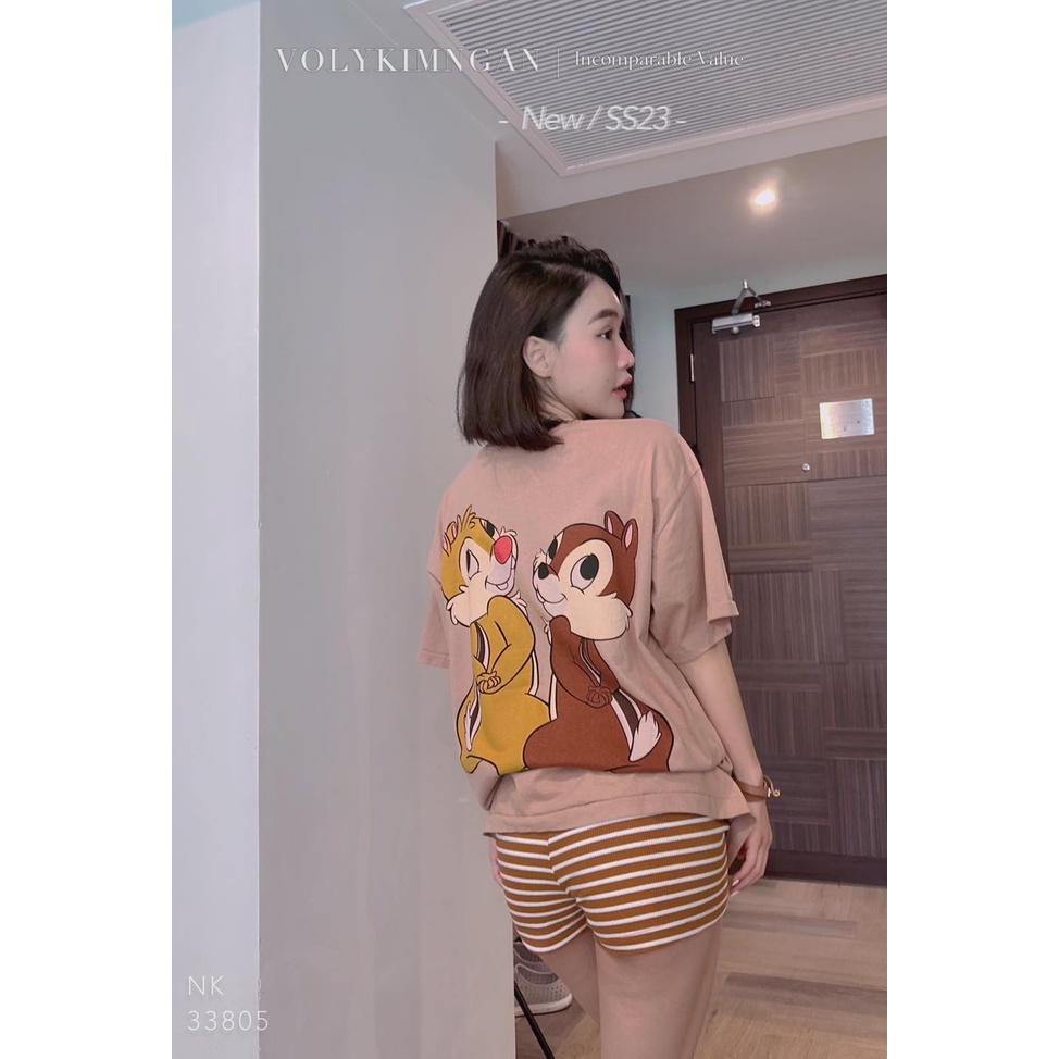 Áo 2 chú sóc nâu disa.ster