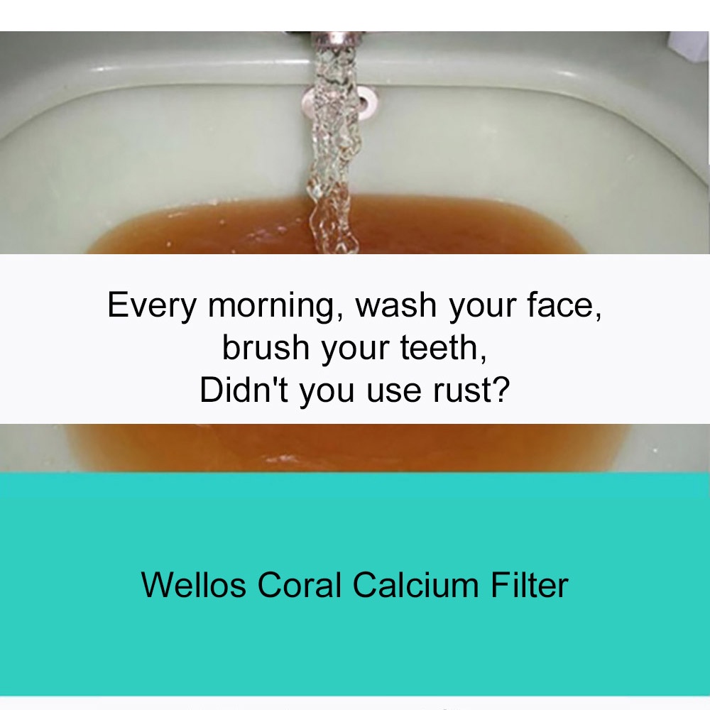 Wellos Korea Replacement Water Filter 2Pcs  Kitchen Purifier Cobra Jabara