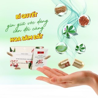 (Chính hãng) Giảm cân hoa sâm đất
