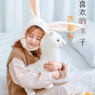Phụ Kiện Chuyên Dụng Cho Búp Bê