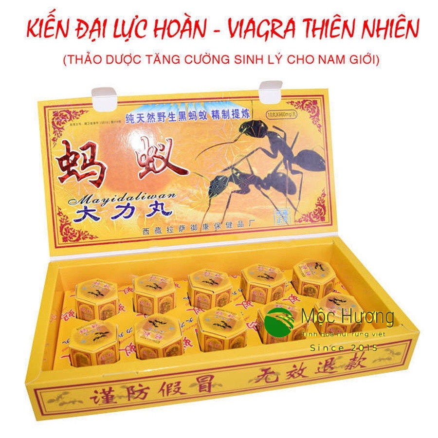 Kiến Càng Tây Tạng Bổ Thận Tráng Dương