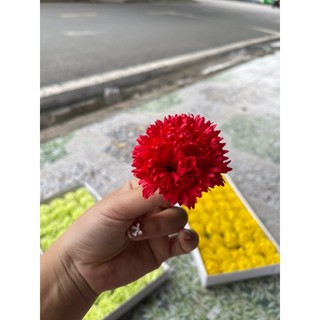 hộp hoa sáp cẩm chướng (50 bông )